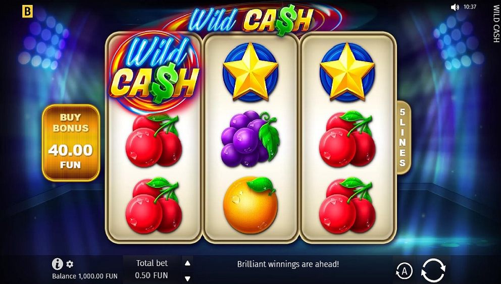 Wild Cash online pokie game screenshot