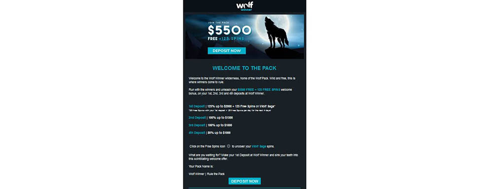 Screenshot of the fourth registration step at Wolf Winner Casino for Australian players.